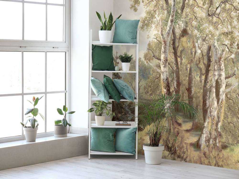 Forest Landscape Color Panorama