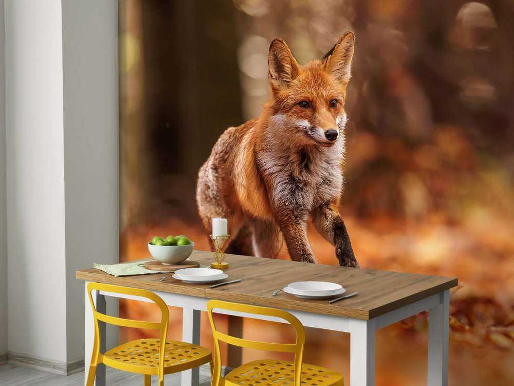 Herfstvlucht Vossenstreken