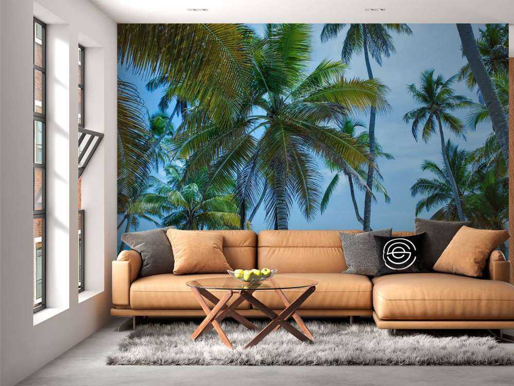 Palmbomen op een Caribisch eiland