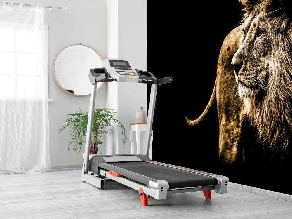 Harige leeuw met een zwarte achtergrond