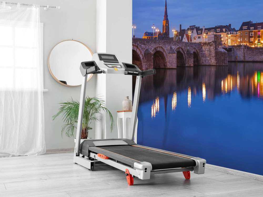 Sint Servaasbrug in de avond