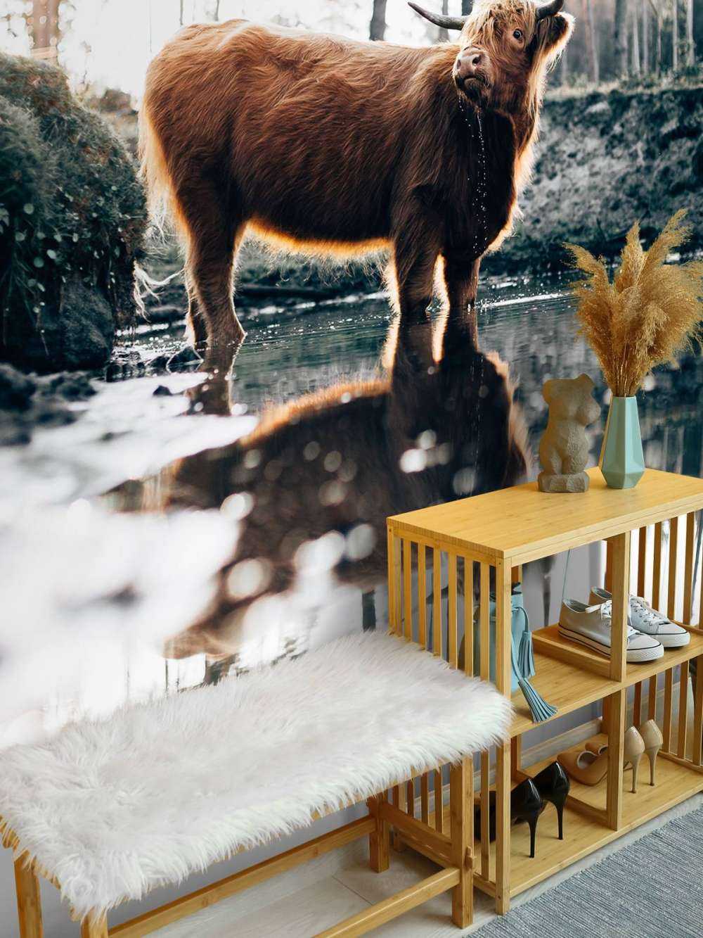 Schotse hooglander in het water