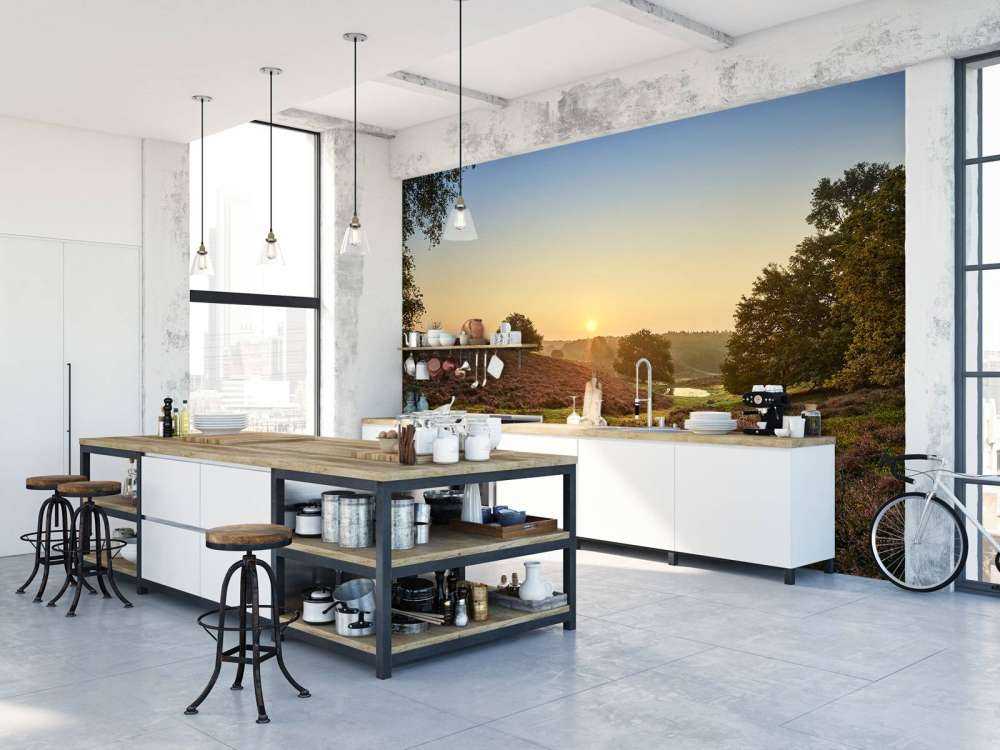 Waterplas op de heide