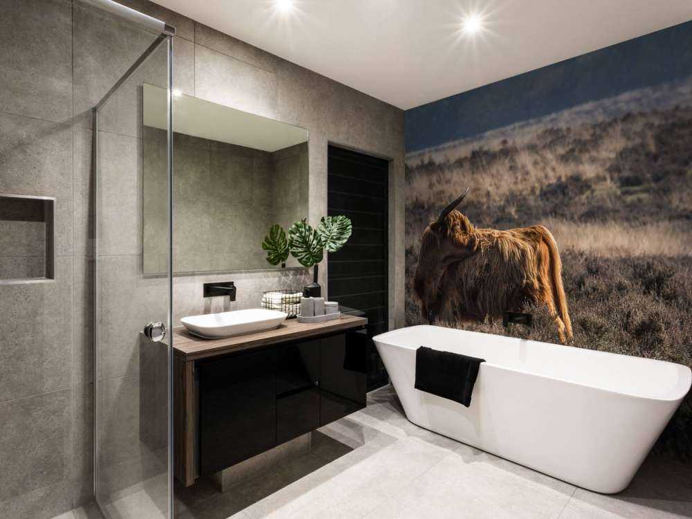 Schotse Hooglander in het wild