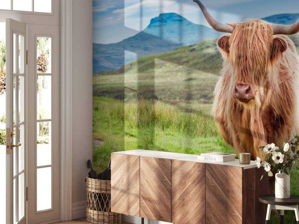 Schotse Hooglander in een berglandschap