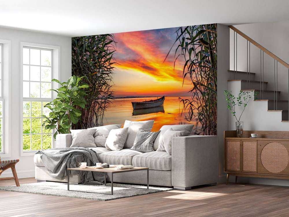 Boot met riet in de avond