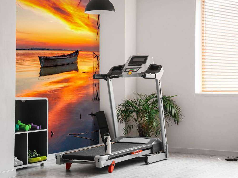 Boot met riet in de avond