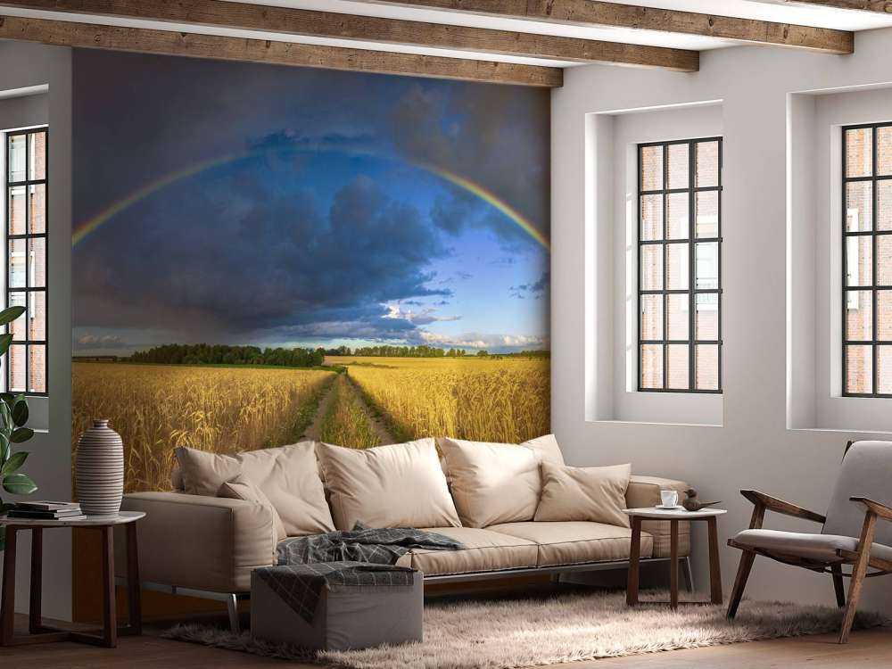 Regenboog over een graanveld