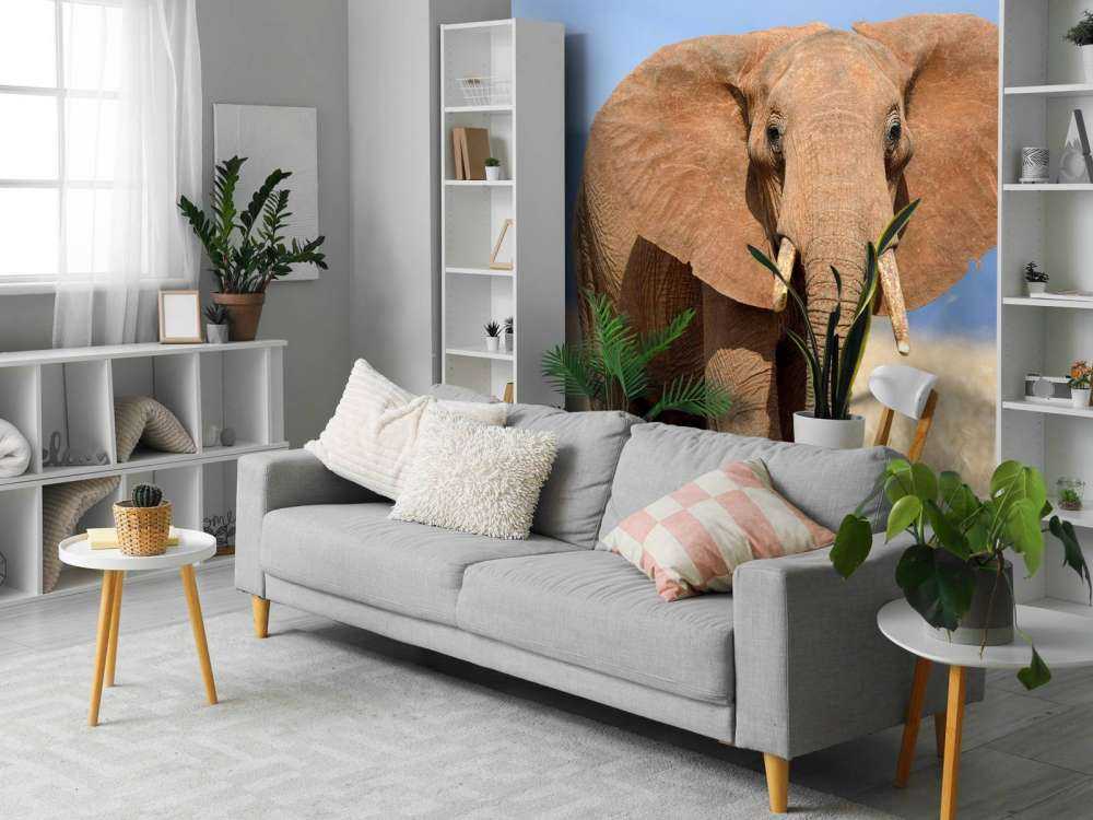 Grote olifant in hoog gras