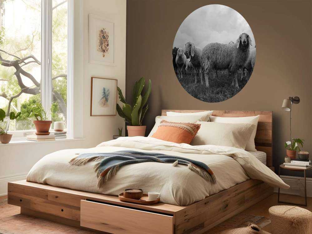 Kudde schapen in zwart-wit