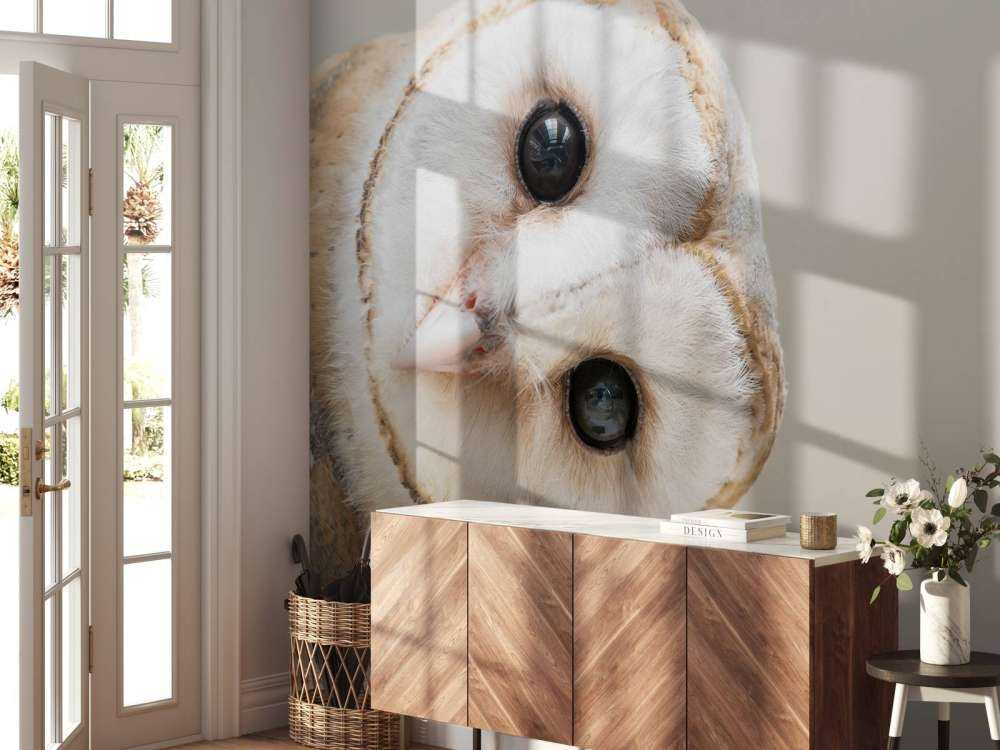 Uil met hoofd schuin