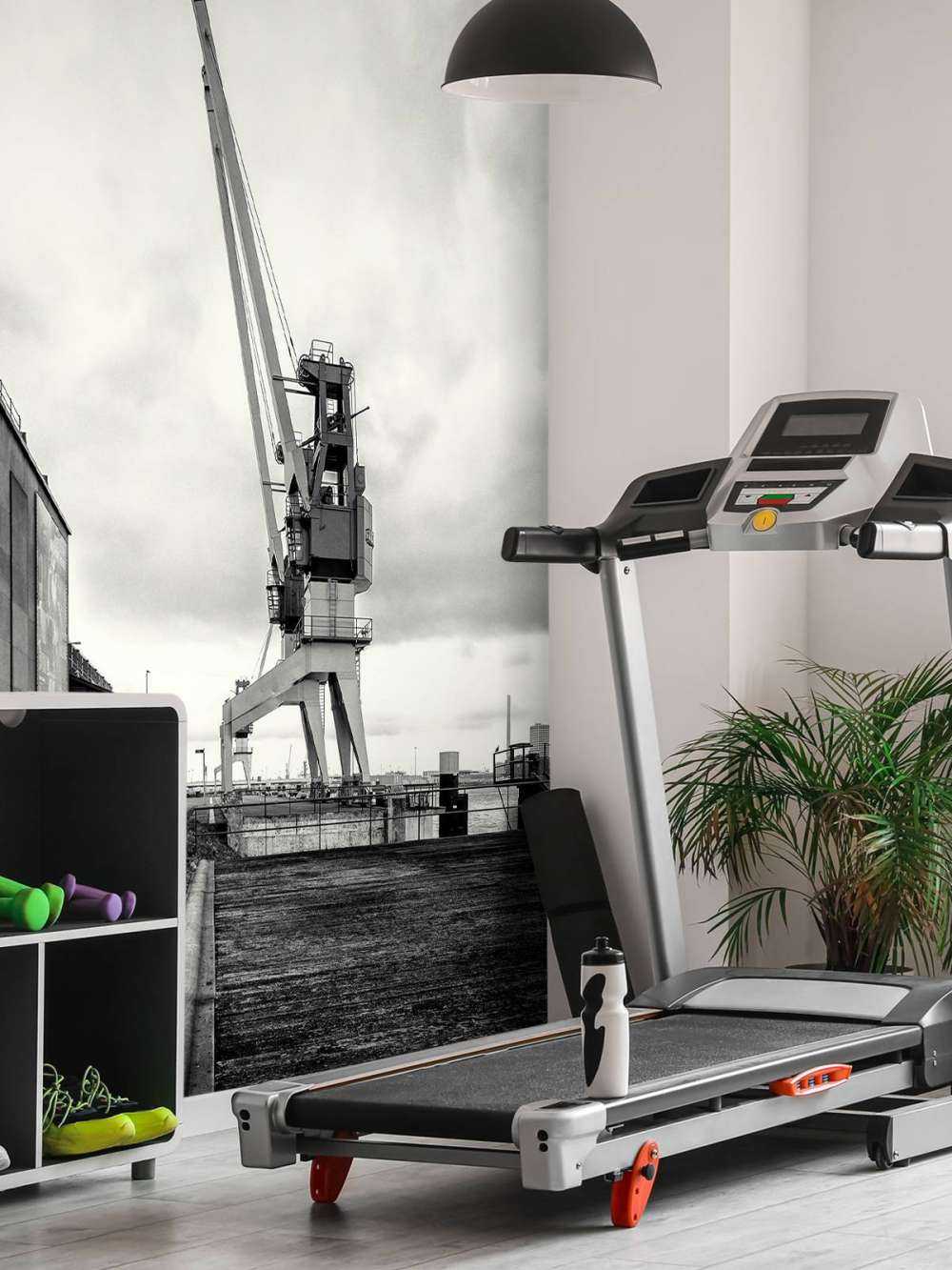 Havenkraan op het voormalige RDM terrein Heijplaat Rotterdam 