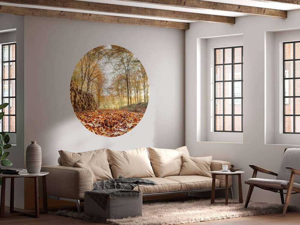 Boomstammen in herfstbos