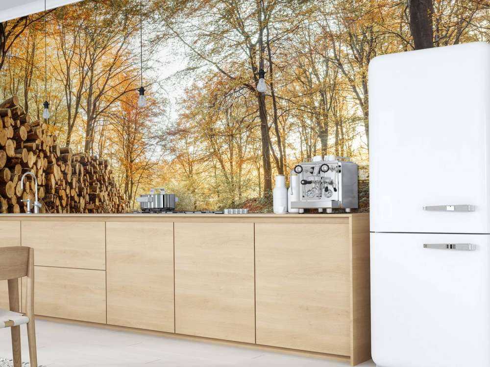 Boomstammen in herfstbos