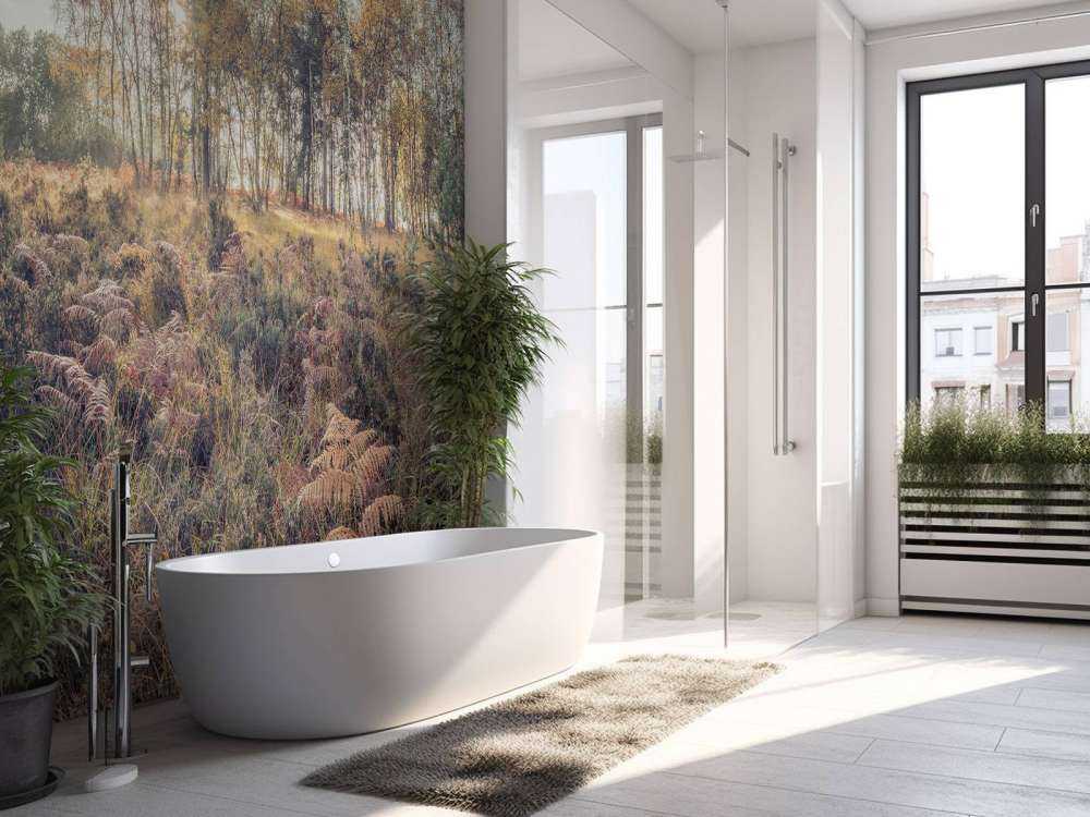 Bos tijdens de ochtend