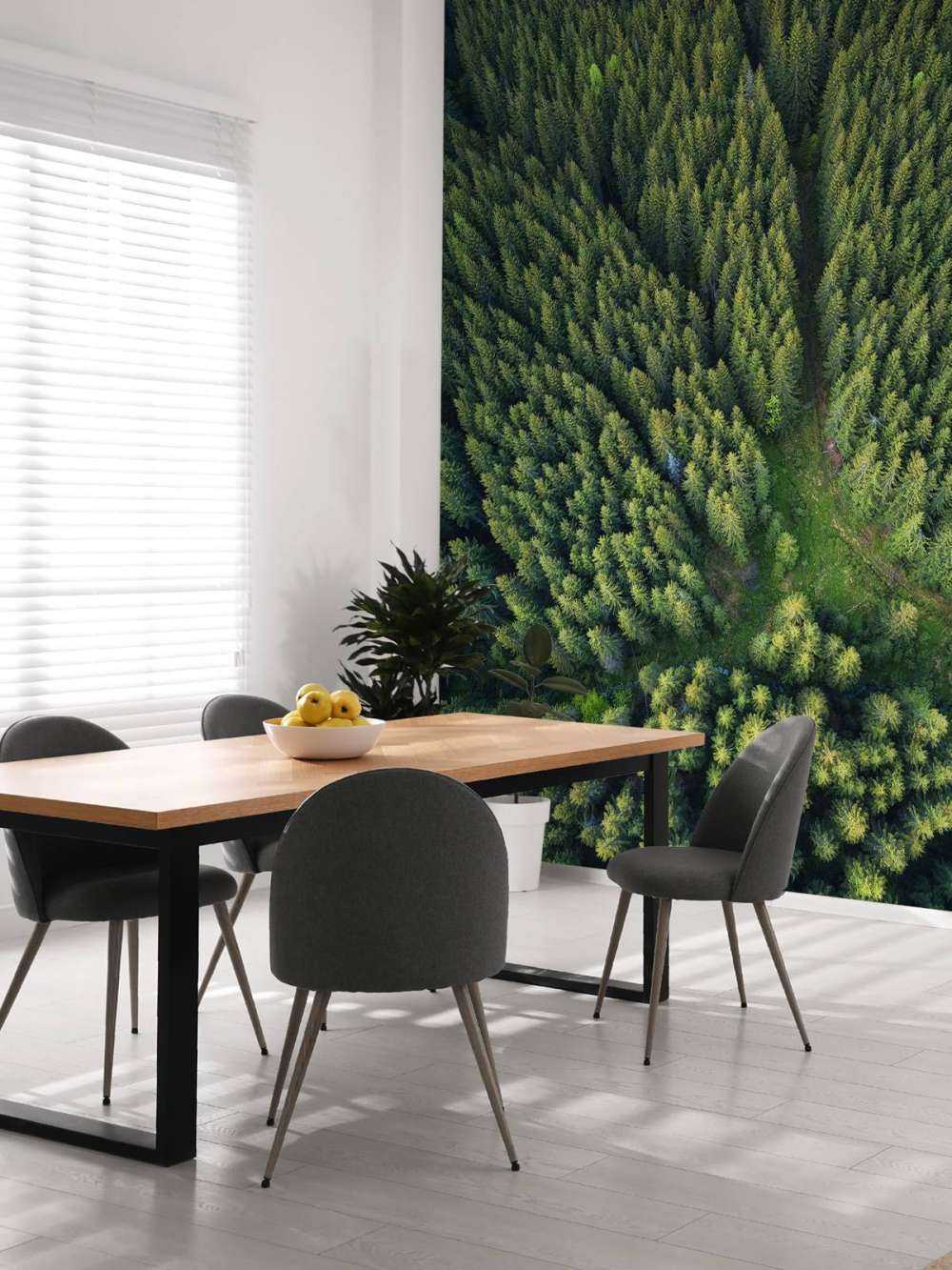 Dennenbos van bovenaf