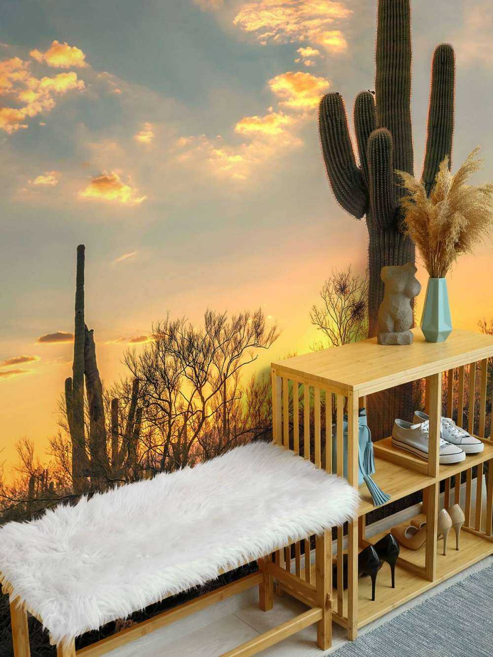 Cactus met zonsondergang