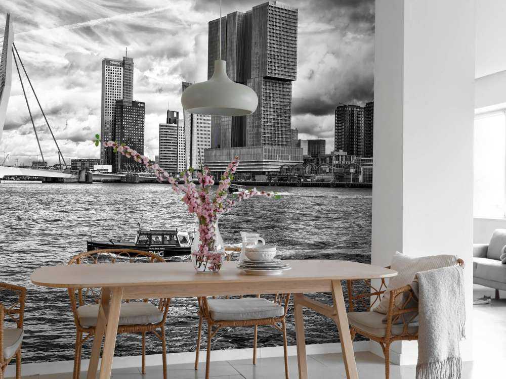 Erasmusbrug en Skyline in Monochroom