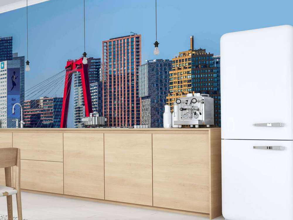 Willemsbrug en Rotterdamse Skyline