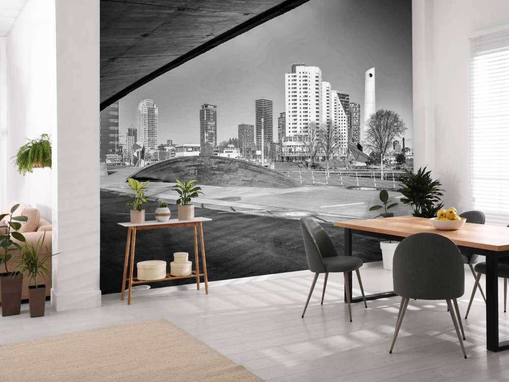 Rotterdamse Skyline onder de Brug