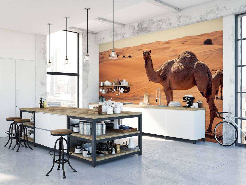 Offroad avontuur in de woestijn