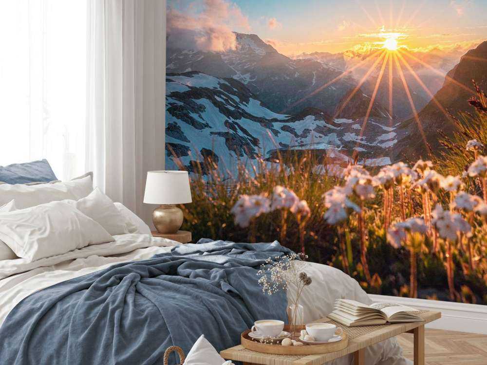 Zonlicht over alpenweide