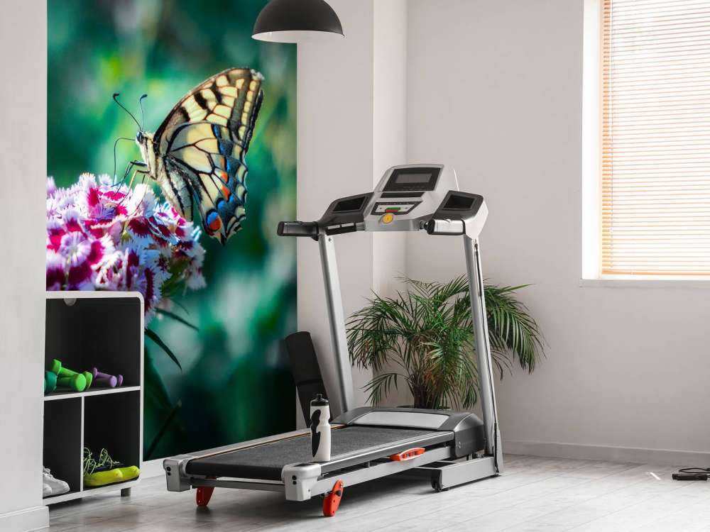 Vlinder op zomerse bloemen