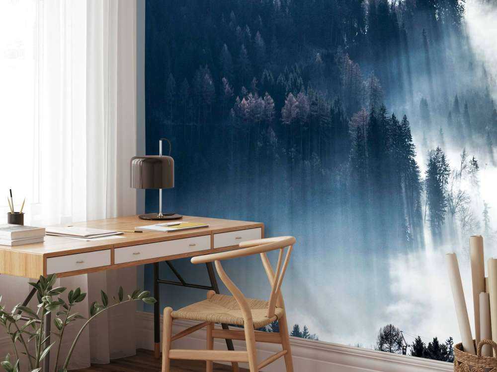 Ochtendlicht in mistig woud