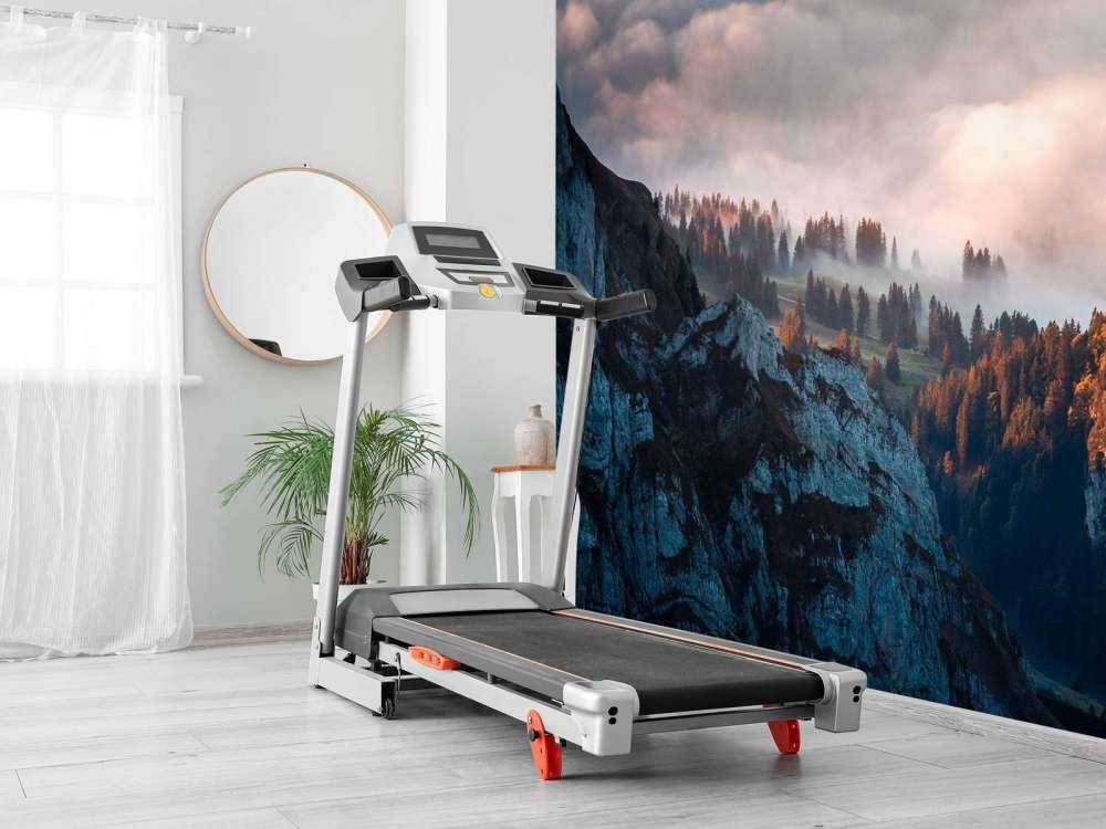 Bosrand in ochtendnevel