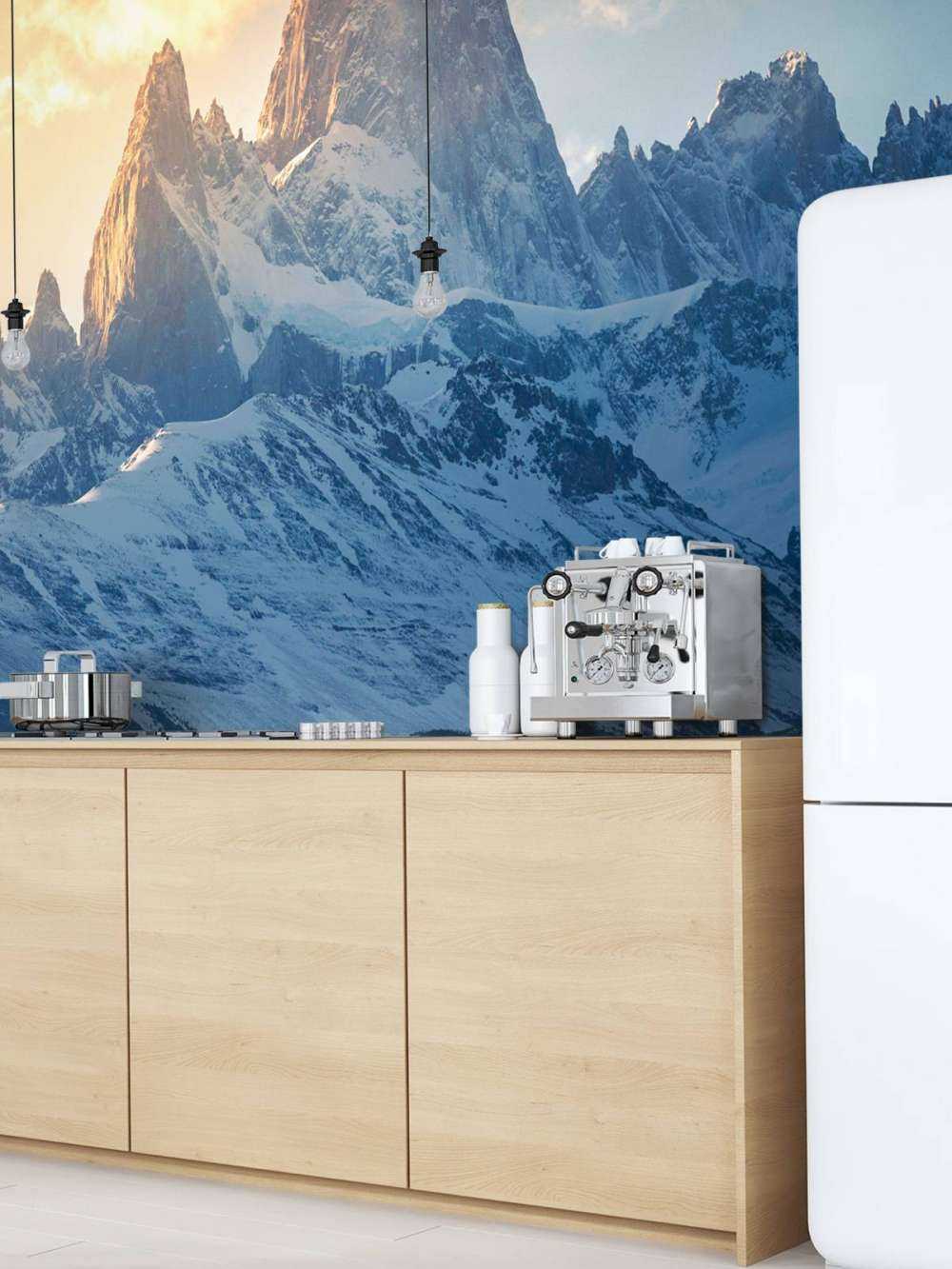 Guanaco voor besneeuwde patagonische bergtoppen