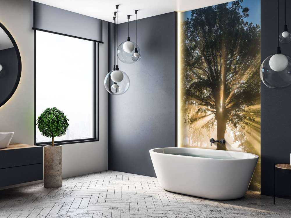 Zonnestralen door de Oude Eik