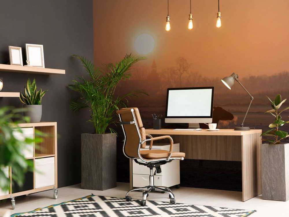 Paard in de Ochtendgloed