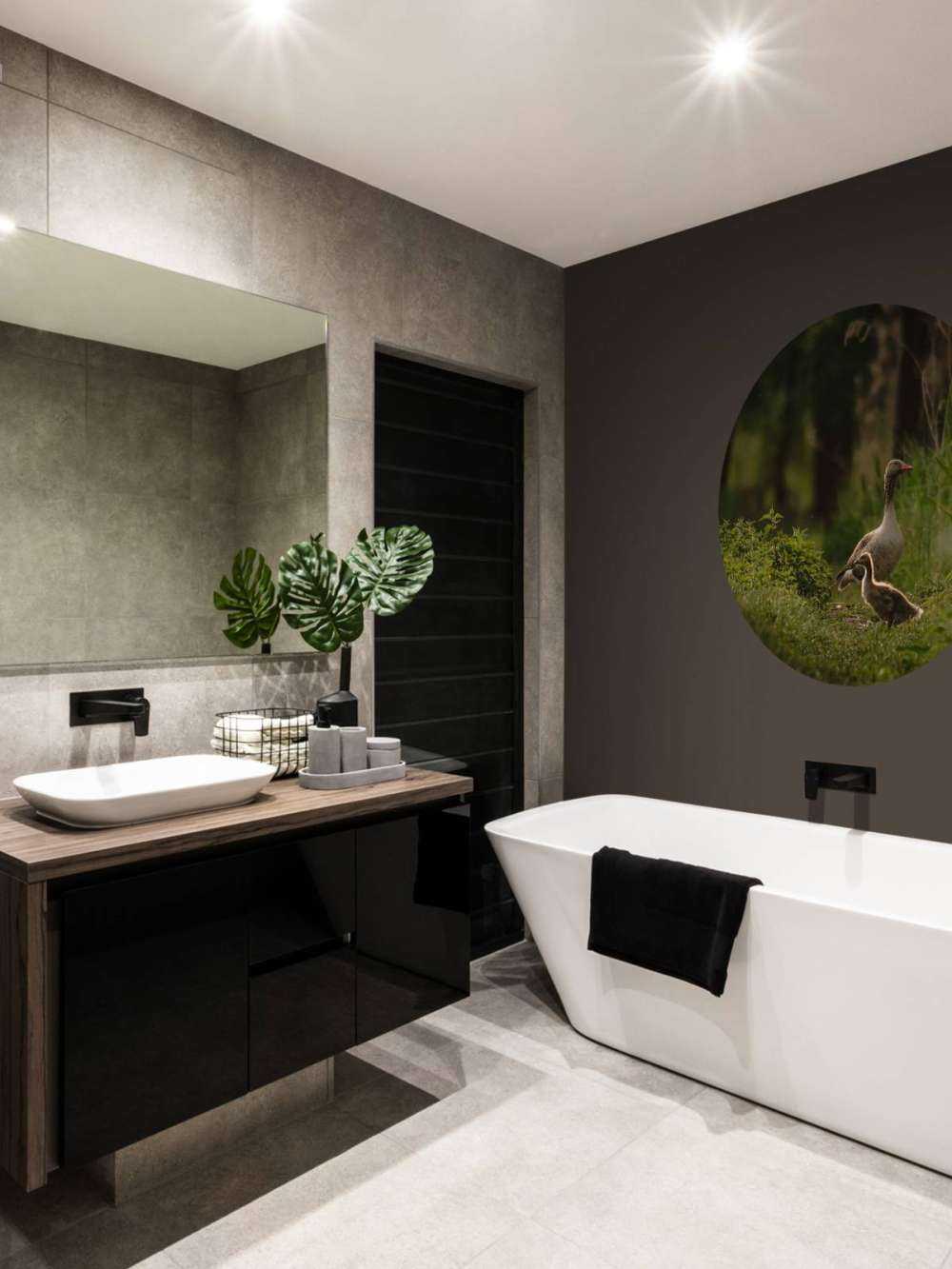 Ganzenfamilie in het Bos