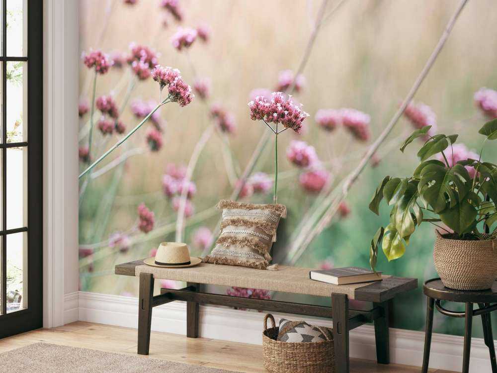 Soft pink meadow flowers