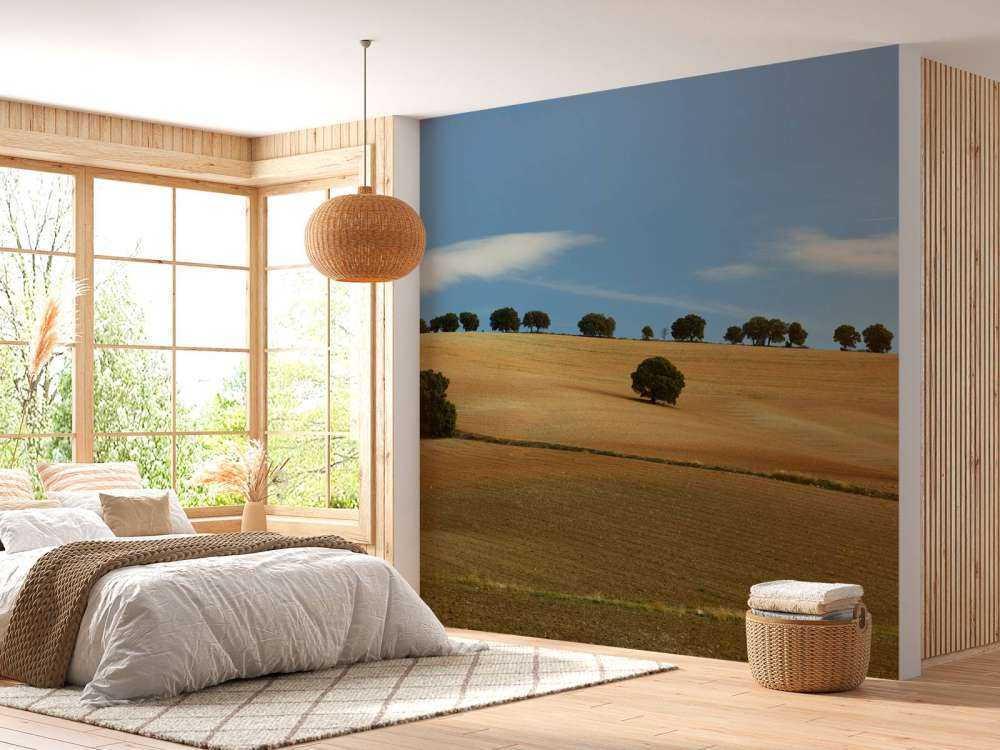 Bomen in Spaans landschap