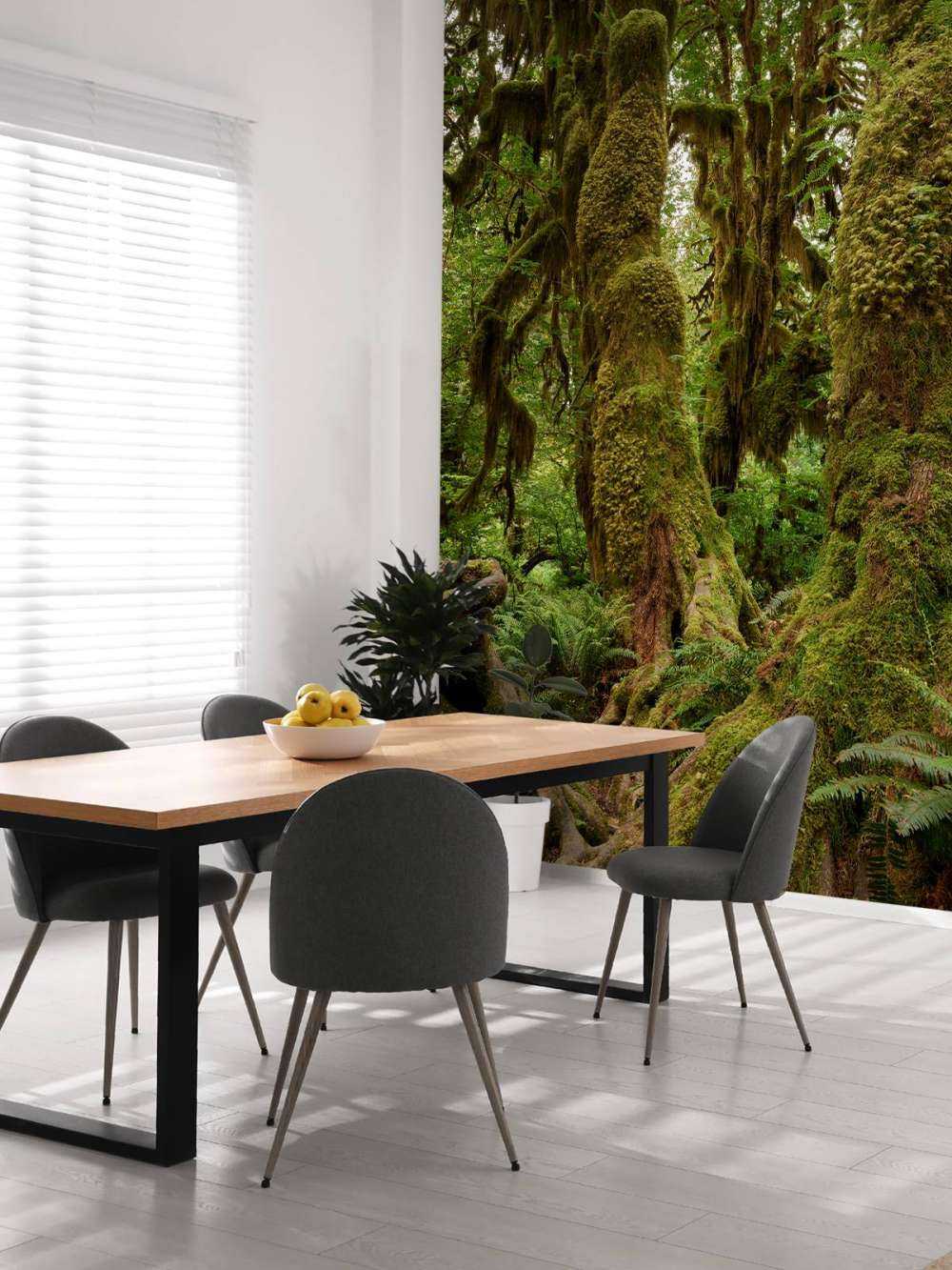 Bomen in een regenwoud