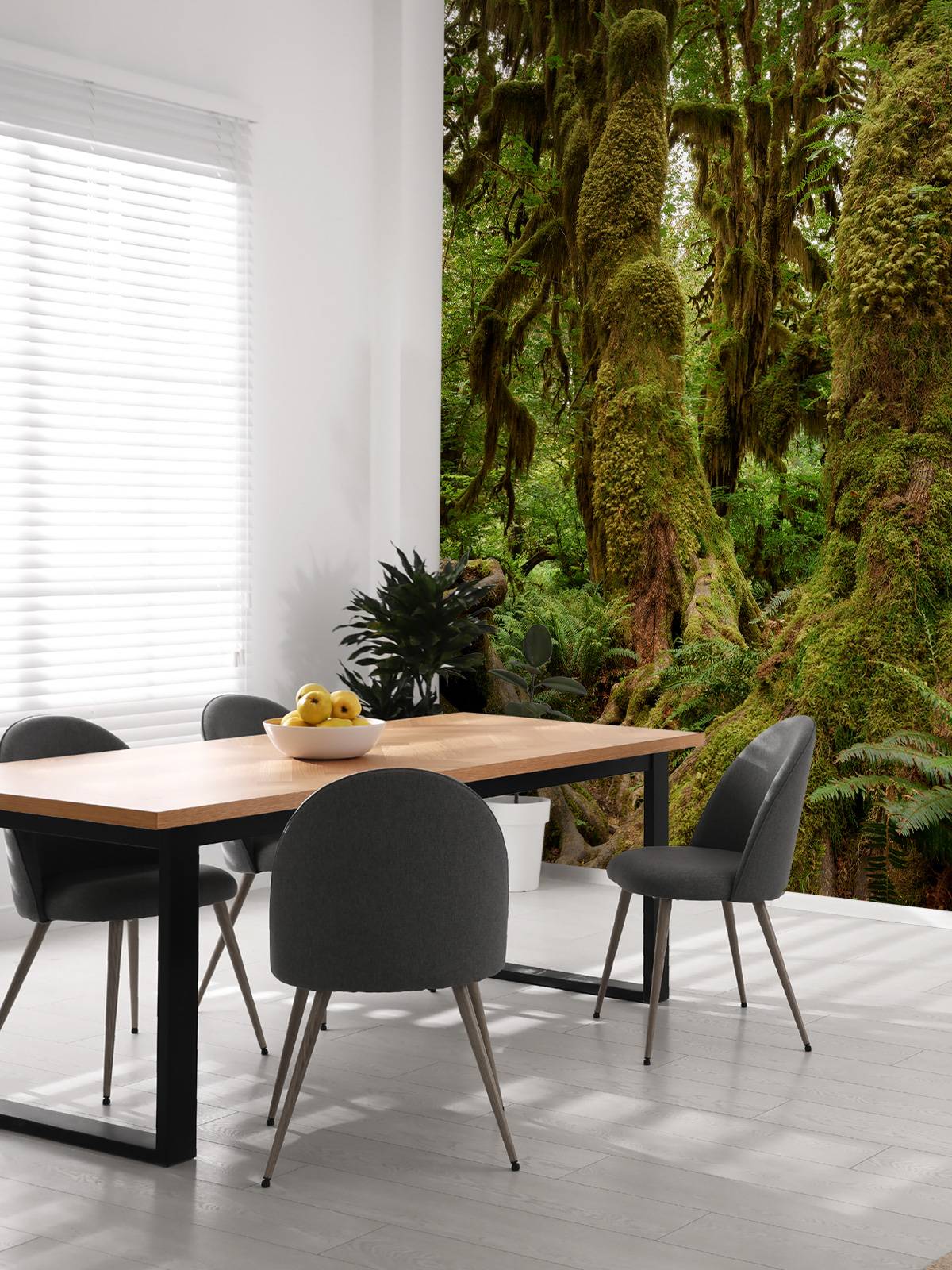 Bomen in een regenwoud