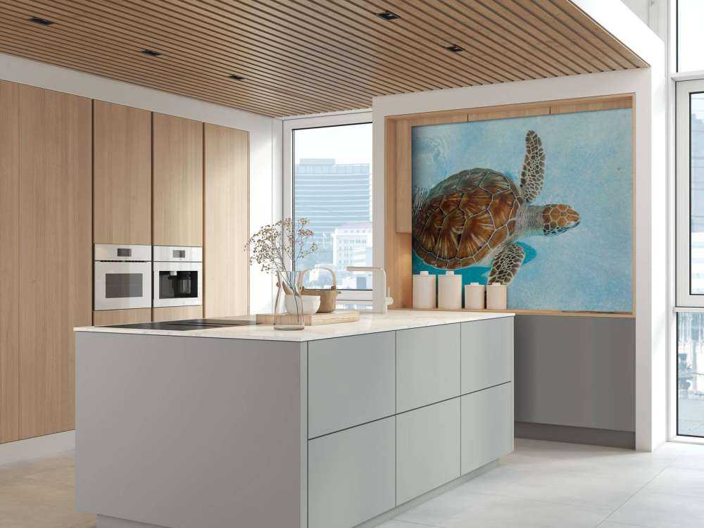 Schildpad in het water