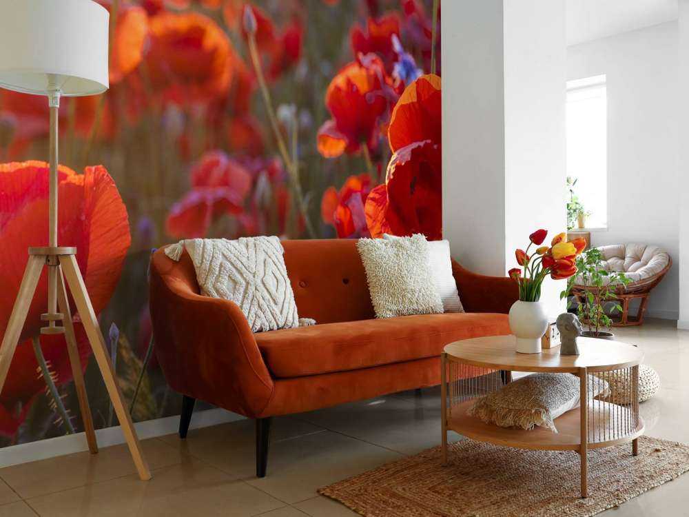 Klaprozen en korenbloemen