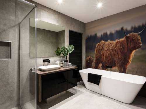 Schotse hooglanders in het weiland