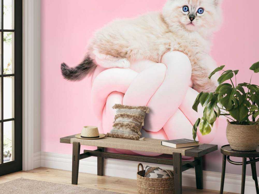 Witte poes op roze achtergrond