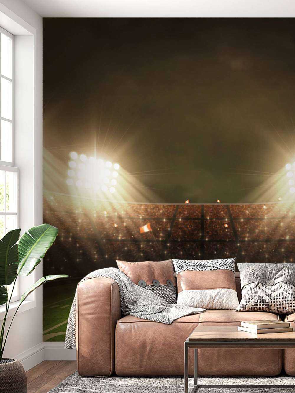 Amerikaans voetbalstadion