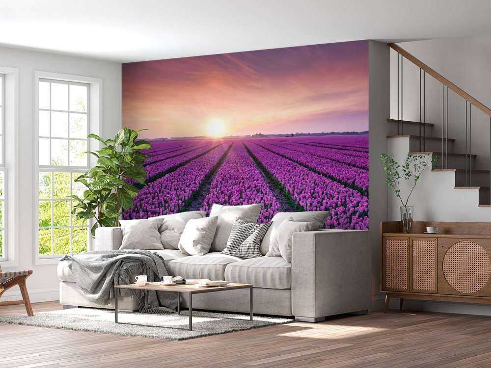 Tulpenveld bij zonsopkomst