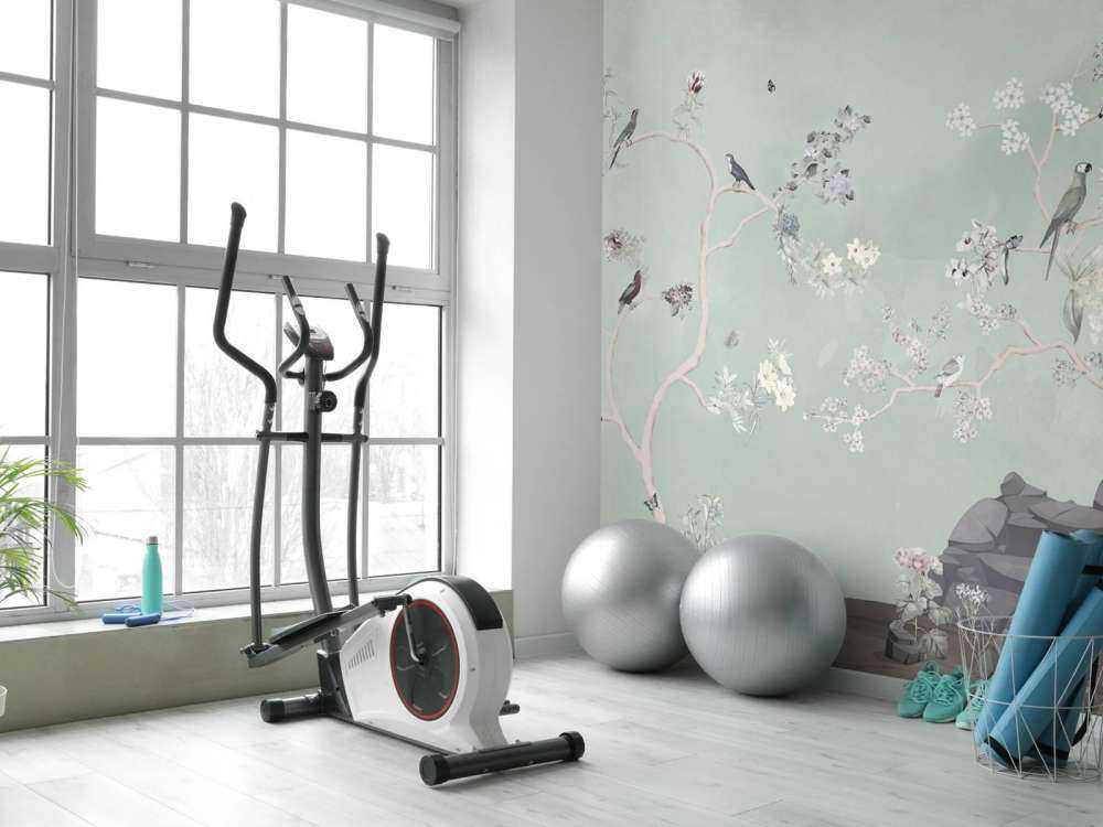 Birds in Garden Panorama 9