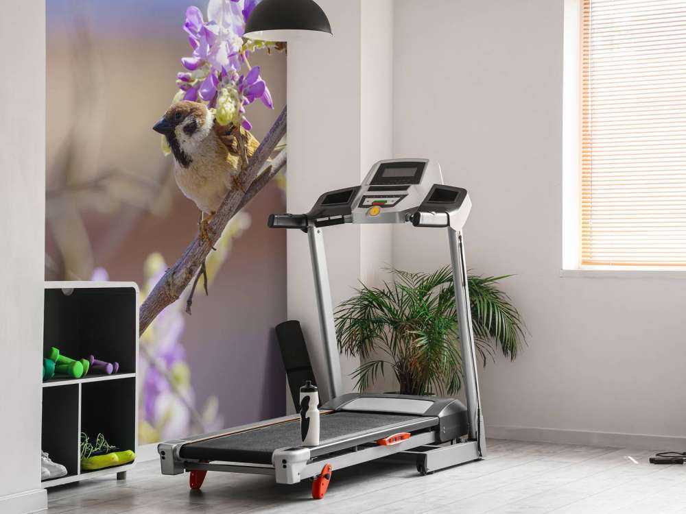 Mus en paarse bloemen