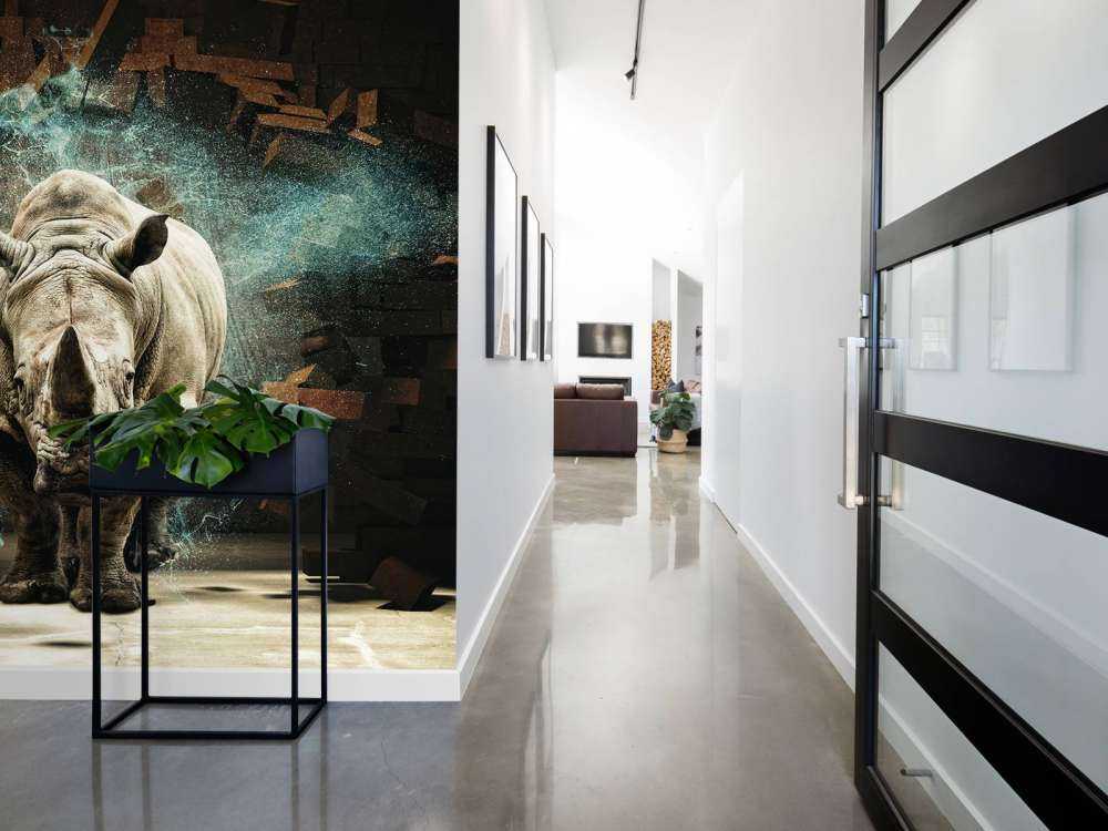 Neushoorn breekt door de muur