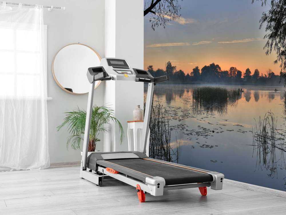 Natuurgebied in de vroege ochtend