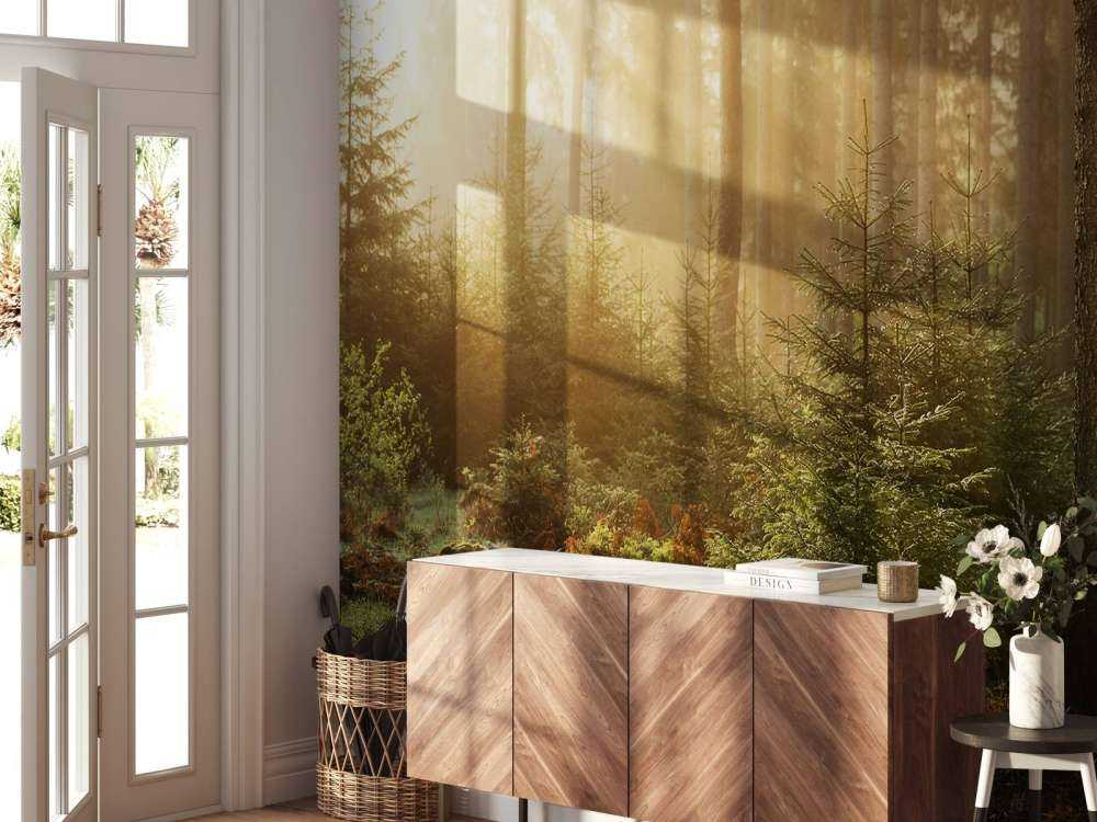 Zonnestralen door het bos