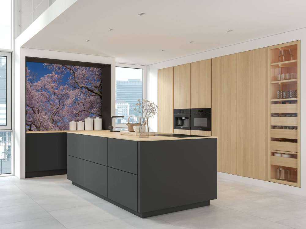 Bloesems met blauwe lucht