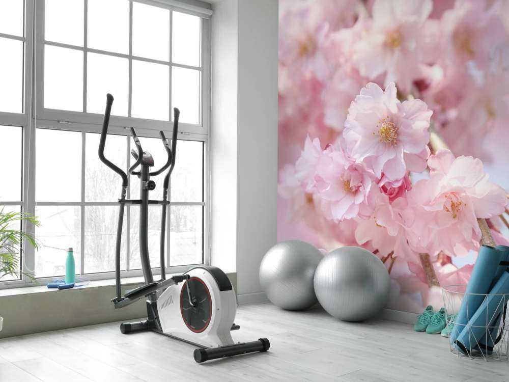 Close-up roze bloesems